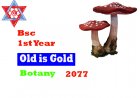 Botany  1st Year-2077(Old Questions)